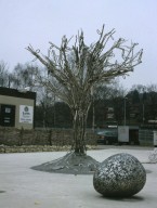 Earth Centre - The Collection Tree