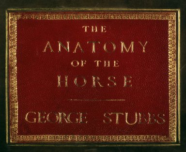 Anatomy of the Horse