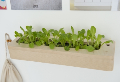 Grow Indoor Planter