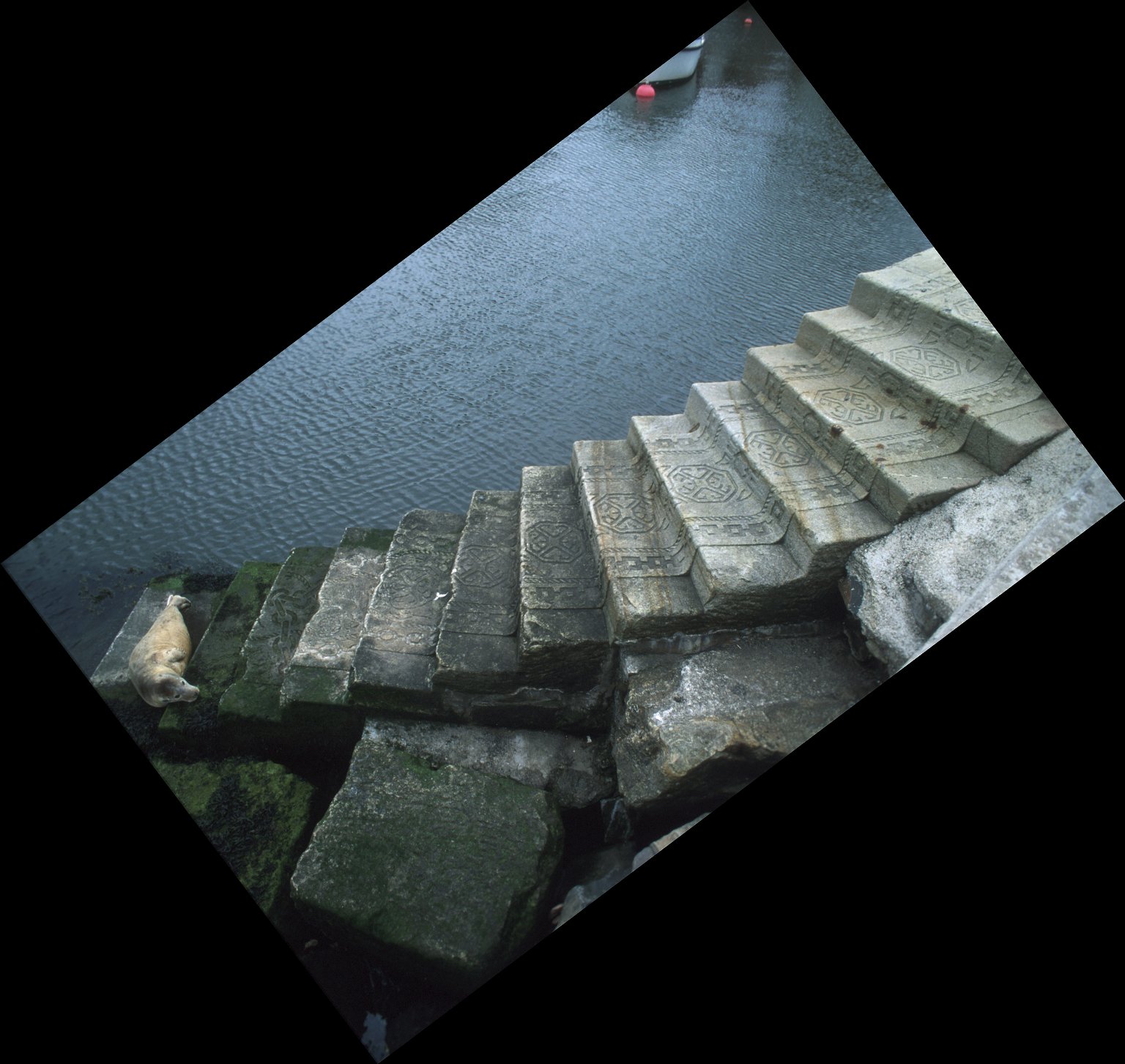 Stone Stair Carpet