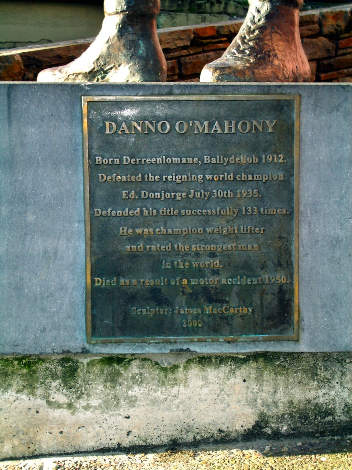 Danno O'Mahony