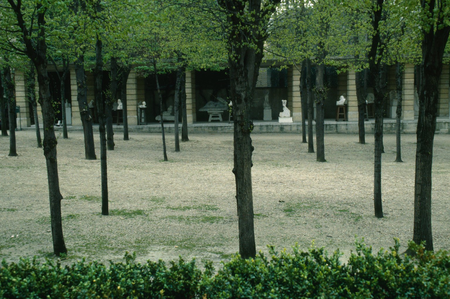Musée Rodin - view in the grounds