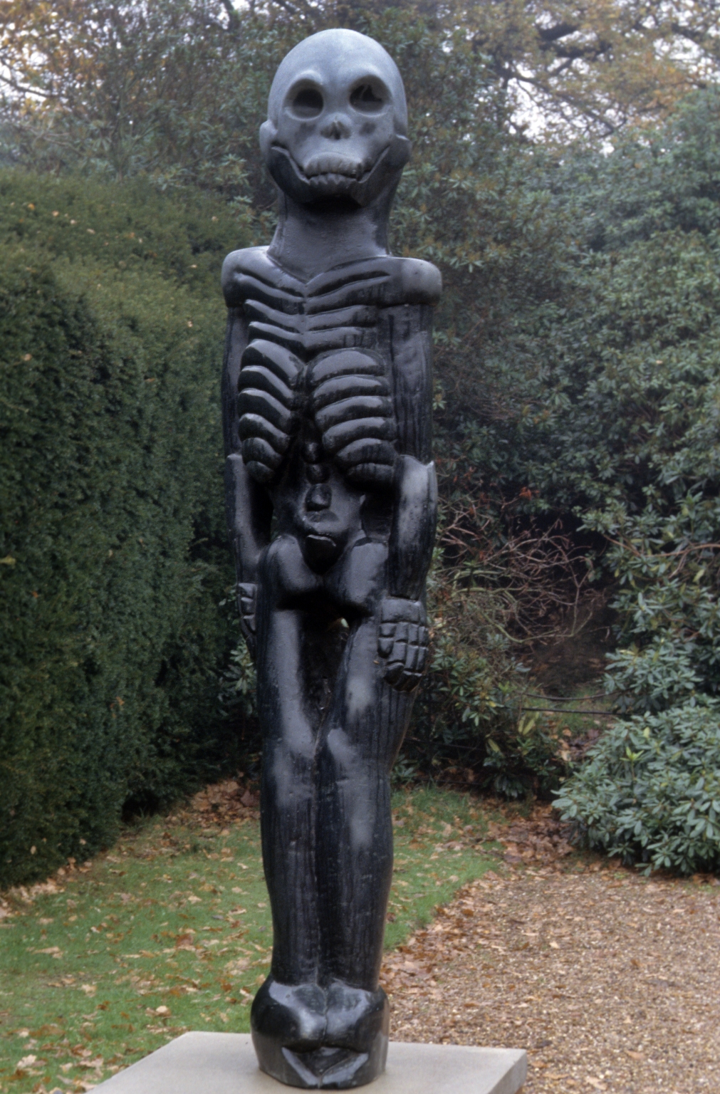 Skeletal Figure