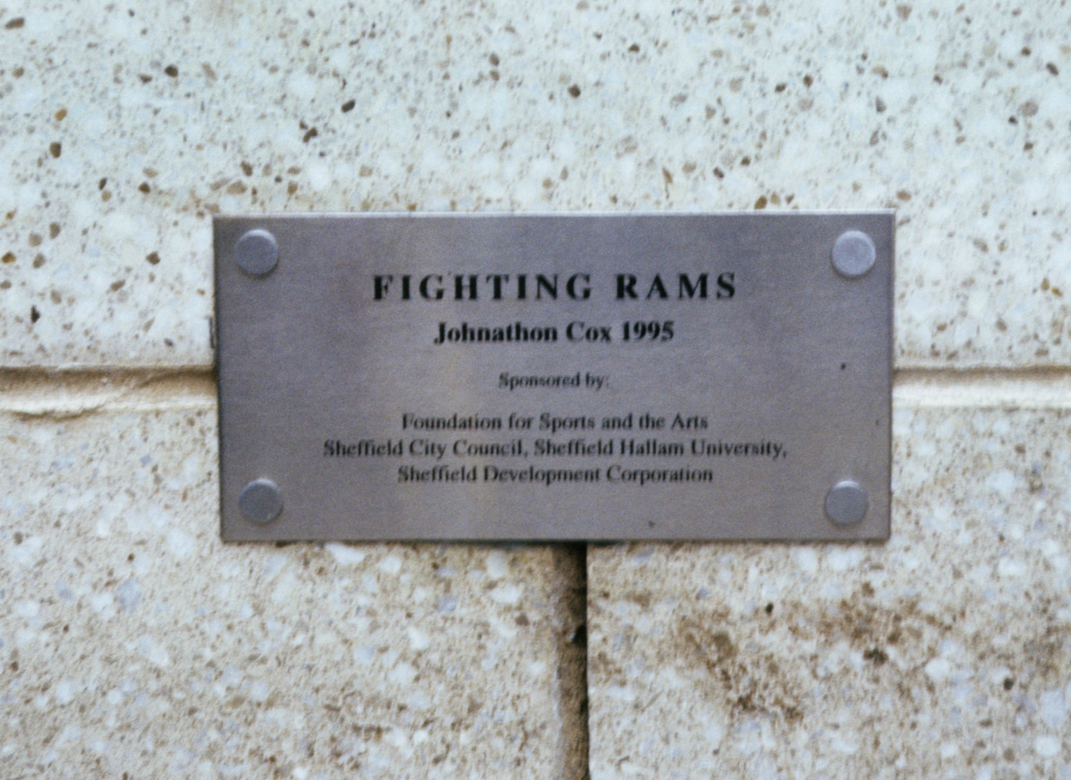 Fighting Rams